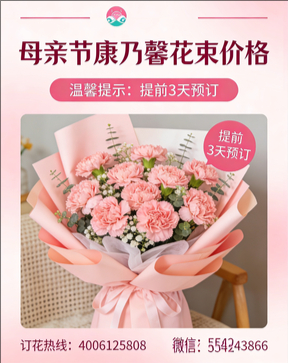 榆林米脂县花店母亲节康乃馨花束