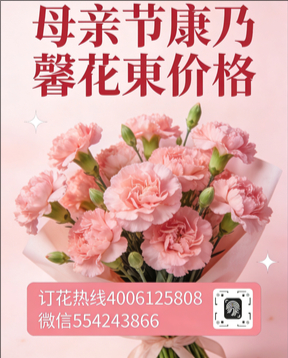 榆林米脂县花店母亲节康乃馨花束